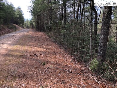 63 Deer Run, Purlear, NC 28665 - photo 6