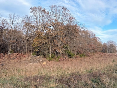 County Road 9100, West Plains, MO 65775 - photo 3