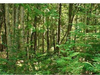 Exterior Front. Wooded lot
