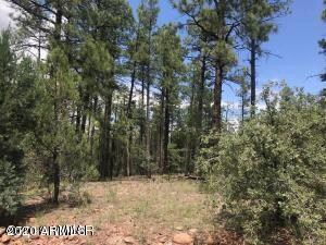 360 Aspen Way unit 207, Show Low, AZ 85901 - photo 2