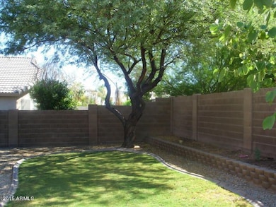 3051 backyard