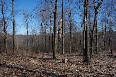 Southern Portion - Another shot of views to the North East