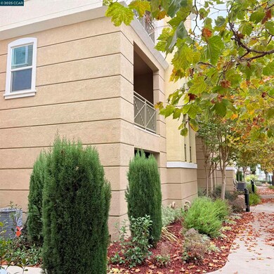 4704 Norris Canyon Rd unit 101, San Ramon, CA 94583 - photo 4