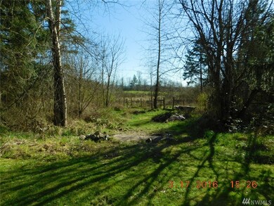 13020 Vail Rd SE, Yelm, WA 98597 - photo 5