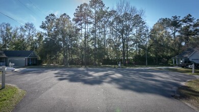 59 Shoemaker Ct, Crawfordville, FL 32327 - photo 2