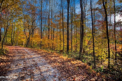 1192 Shellotte Loop, Pall Mall, TN 38577 - photo 3