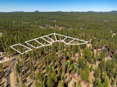 DJI_0356