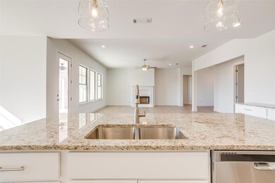 209 Latigo Way, Weatherford, TX 76088 - photo 7