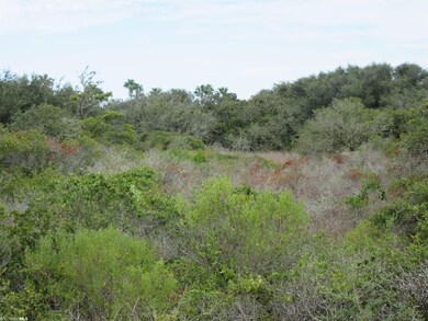 Lot View