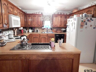 10927 County Road 2219, Tyler, TX 75707 - photo 6