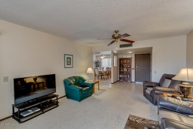 17227 N Palo Verde Dr, Sun City, AZ 85373 - photo 7