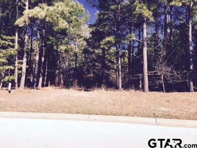 6082 Graemont Blvd, Tyler, TX 75703 - photo 7