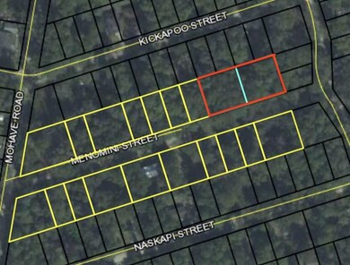 Lot 10,11,12,13 Menomini St unit 3, Crawfordville, FL 32327 - photo 2