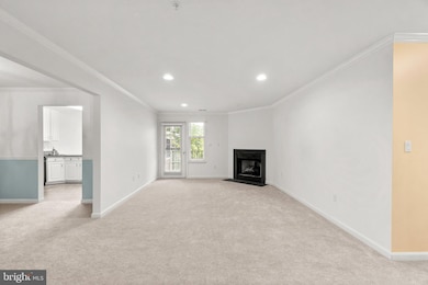 4700 Coyle Rd unit 304, Owings Mills, MD 21117 - photo 6