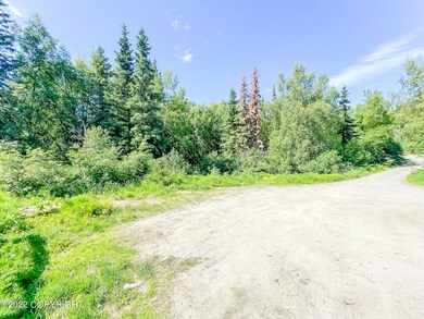 Driveway Area