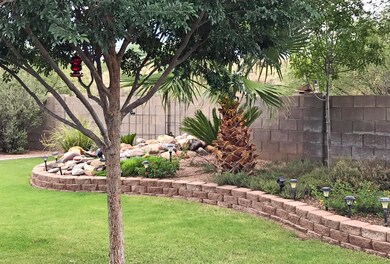 6 - BackYard