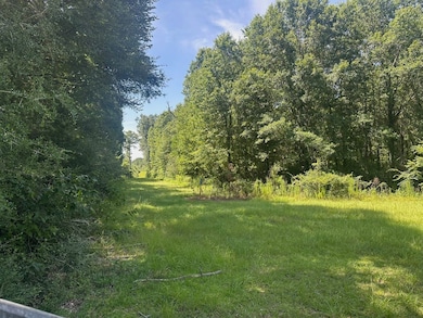 0 Zoar Rd unit 24669433, Chatham, LA 71226 - photo 2