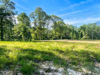 0 Hwy 26, Lucedale, MS 39452 - photo 3