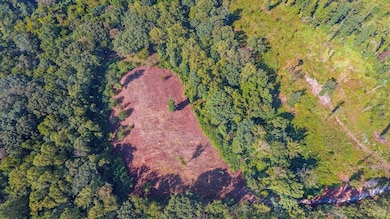 206 Waughs Landing Dr, Lynchburg, VA 24503 - photo 3