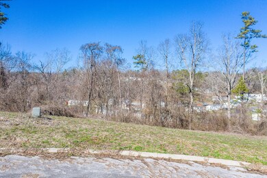 75 Battle Bluff Dr, Rossville, GA 30741 - photo 7