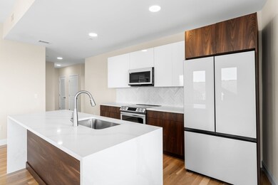 16 Taber St unit 506, Boston, MA 02119 - photo 2