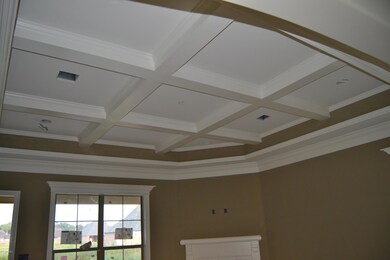 108 Hazy River Living Ceiling
