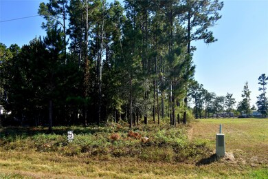 900 County Road 3545, Cleveland, TX 77327 - photo 5