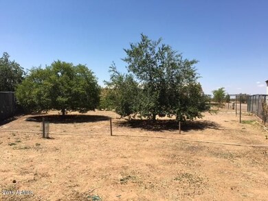 Back yard 3