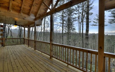 Additional View