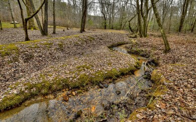 Additional View