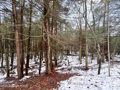 Wooded Lot