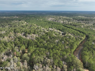 0 Coons Mill Rd, Centreville, MS 39631 - photo 7