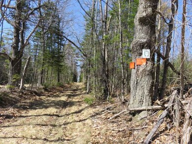 0 Height of Land Rd, Grafton, NH 03240 - photo 5