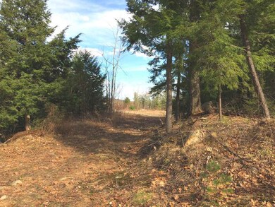 726 Salisbury Rd, Franklin, NH 03235 - photo 5