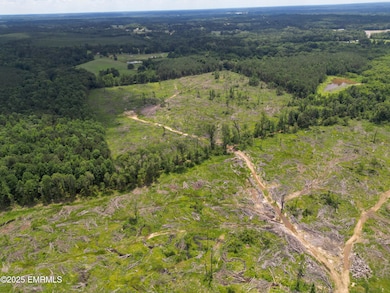dji_fly_20250610_140622_297_174966024507