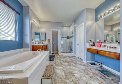 Master Bathroom with separate tub and custom showe