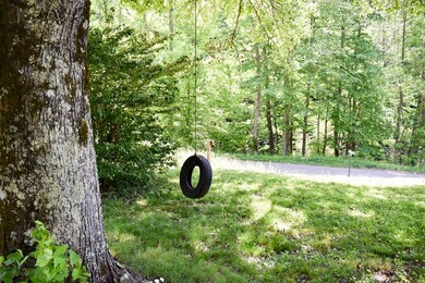 Enjoy the tire swing