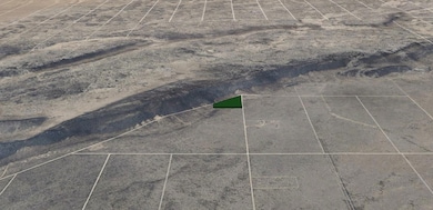 0 Blanca unit 25534612, Blanca, CO 81123 - photo 4