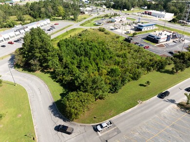 00000 Golden Isle W, Baxley, GA 31513 - photo 6