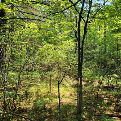 0 York Ln unit 25 4873957, Freedom, NH 03836 - photo 5