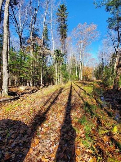 00 Phelps Rd, Springfield, NH 03284 - photo 4