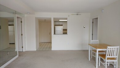 975 Massachusetts Ave unit 507, Arlington, MA 02476 - photo 3