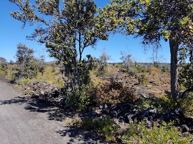 92-8506 Liliana Ln, Ocean View, HI 96704 - photo 5