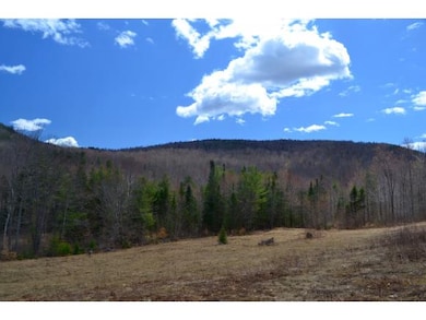 View towards beaver meadow
