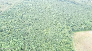 2025-08-05-11-21-21-692 (2)