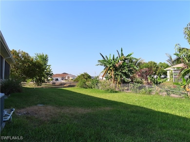 802 Felix Ave N, Lehigh Acres, FL 33971 - photo 7