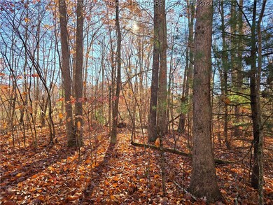 175 Rothfield Cir, Daniels, WV 25918 - photo 6