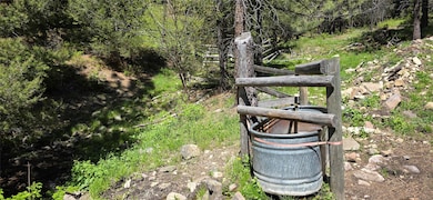 6 Tract Bull Elk, Drummond, MT 59832 - photo 5