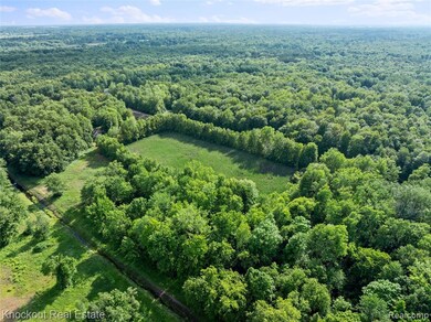 #0091 V L Nature's Trail Rd, Vassar, MI 48768 - photo 6