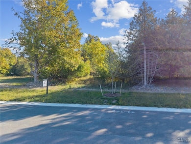 6542 Woodchuck Hill- Lot 6, Dewitt, NY 13078 - photo 6